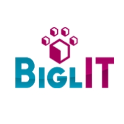Новый модуль системы BIGLit WAS позволит обезопасить склады от необоснованных претензий