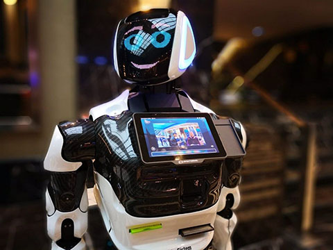 Пермские роботы Promobot появятся в Конго