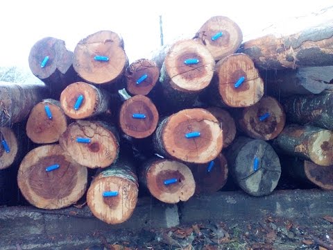 Ростех провел успешные испытания RFID меток для маркировки древесины